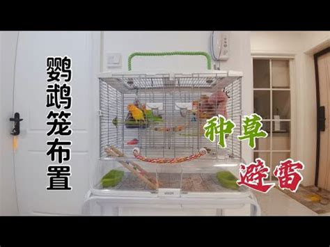 鳥籠佈置|【鳥籠佈置】打造鳥籠的時尚小窩！超簡易鳥籠佈置秘訣大公開